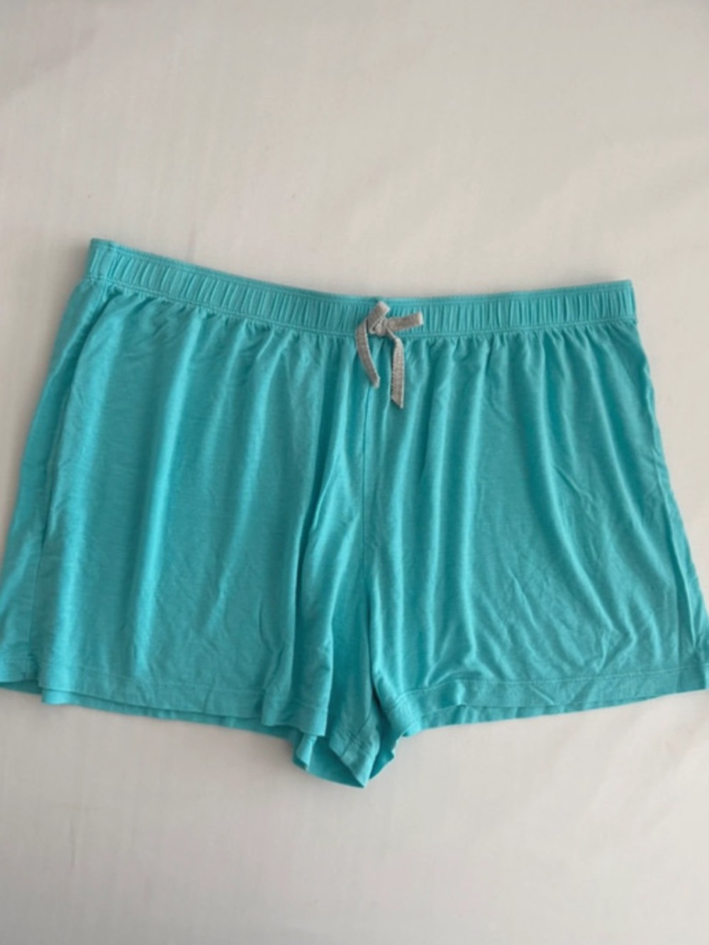 Jane and Bleecker Women’s Light Blue Comfy Sleep Shorts, Medium - Picture 2 of 9